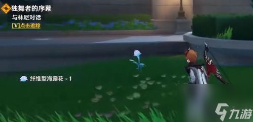 《原神》海露花高效采集攻略，解锁神秘新价值