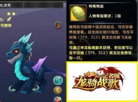 飞龙斗篷获取攻略：揭秘高效获取新途径