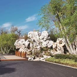 《辐射4》杠杆步枪攻略：高效射击技巧全解析