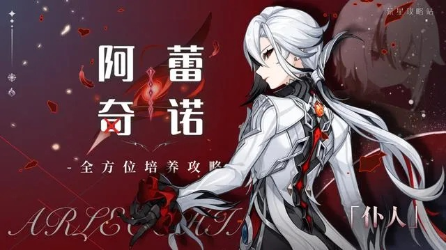 阿蕾奇诺养成攻略：深度解析高效培养新技巧