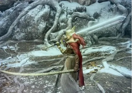 女武神掉落攻略：揭秘艾尔登法环隐藏宝藏