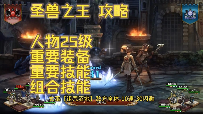 三一之雨队搭配攻略：揭秘圣兽之王新战术精髓