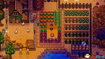 《星露谷物语》五彩碎片高效获取攻略，轻松无限刷碎片新技巧