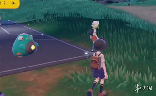 《宝可梦朱紫》晴空攻略：揭秘晴天兄弟队新战术秘籍