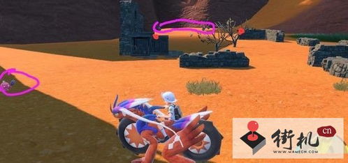 《宝可梦朱紫》G晴天固拉多队伍攻略：打造最强阵容秘籍