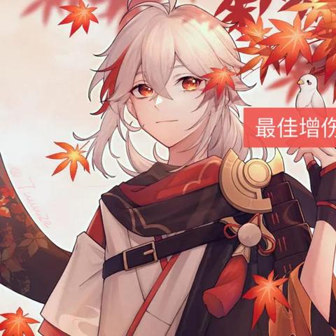 4.5万叶配队攻略，输出技巧精讲，打造最强阵容秘籍