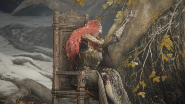 女武神近战攻略：深度解析《艾尔登法环》战斗精髓与技巧