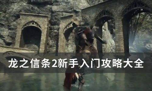 《龙之信条2》开荒必备：高效攻略与实用技巧解析