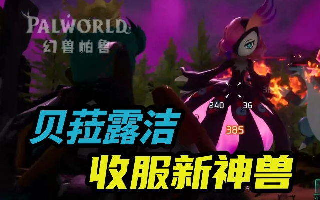 贝拉露洁高效攻略，掌握幻兽帕鲁战斗新技巧