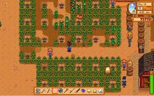 沙漠狂欢揭秘：星露谷物语节日新玩法大揭秘