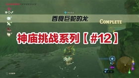 荒野解密：塞尔达神庙谜题攻略，解锁全新探险秘籍