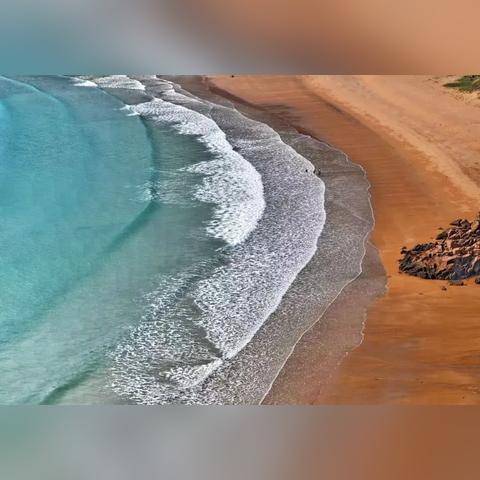 珍珠海探险秘境，半岛彩蛋宝藏全解析