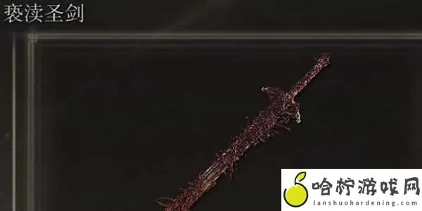 艾尔登法环亵渎圣剑攻略：高效加点与全新配装技巧解析