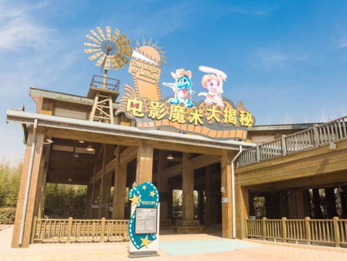 雨中奇观揭秘：影廊2四葩雨之奥秘深度解析