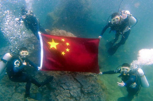 珍珠海冒险暗礁禁地彩蛋全解析，探秘宝藏新攻略