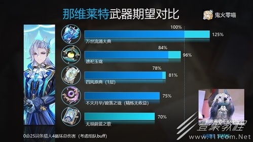 那维莱特装备伤害解析：如何搭配装备提升输出效率？