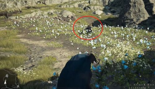 独眼巨人藏身之地，《龙之信条2》全揭秘攻略新解