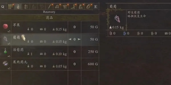 《龙之信条2》随从刷钱攻略：高效赚钱新技巧揭秘