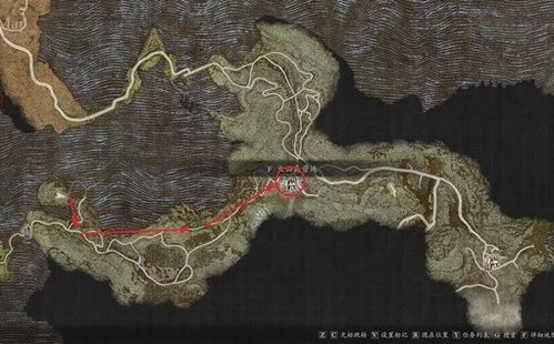 探寻《龙之信条2》神秘蜥蜴酒，独家购买攻略大揭秘！