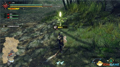 《浪人崛起》小树支线攻略：揭秘高效升级新捷径