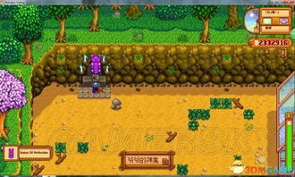 鱿鱼节玩法攻略：解锁《星露谷物语》独特节日乐趣