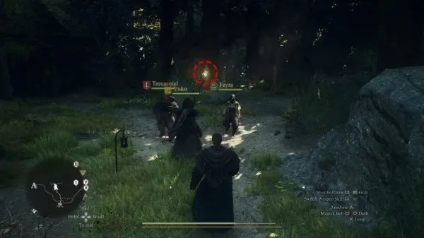 《龙之信条2》艳金龟攻略：帝王之境寻珍宝，高效收集秘籍曝光