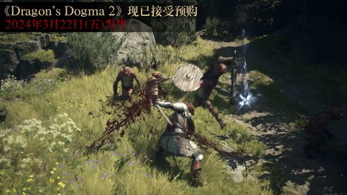 龙之信条2巫师揭秘：神秘力量与智慧新篇章