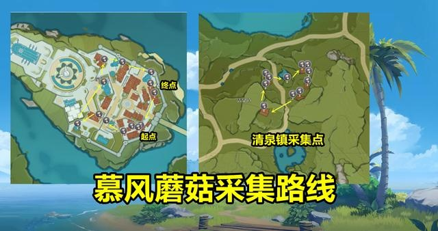 《原神》4.5版本慕风蘑菇高效采集攻略，一网打尽新资源！