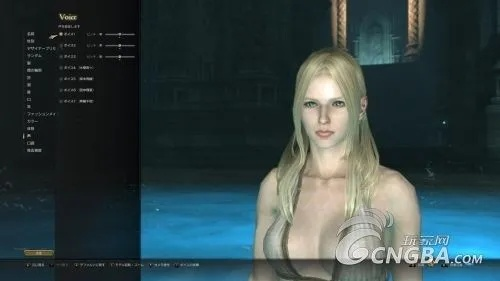 《龙之信条2》精灵女捏脸秘籍，解锁独特魅力新篇章