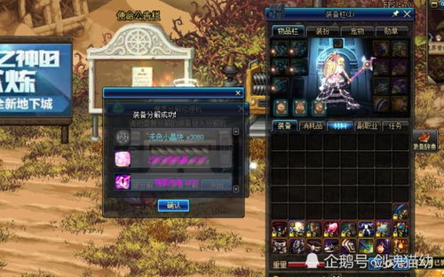 兽王风暴新纪元：打造无坚不摧打击流Build攻略