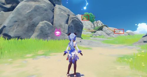 《原神》攻略：高效采集虹彩蔷薇，掌握稀有资源新技巧