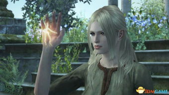 《龙之信条2》24号脸美颜捏脸攻略，解锁独特魅力新姿势