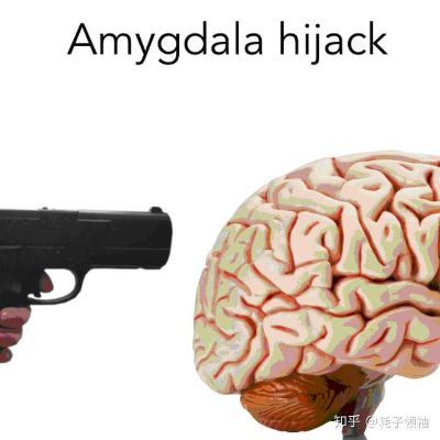 《Amygdala》深度解析：揭秘脑核奥秘，探索游戏心理新境界
