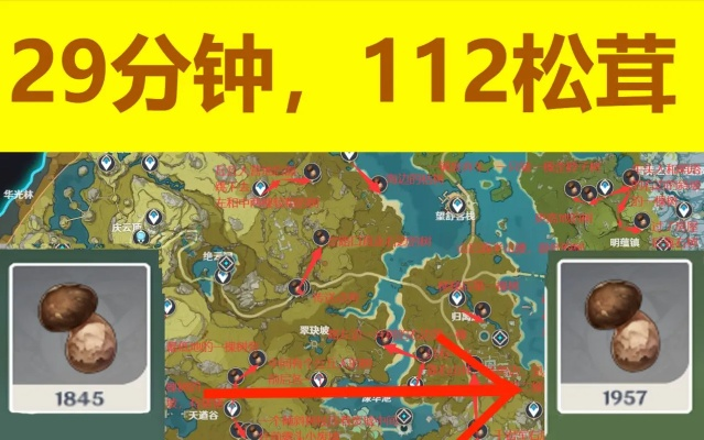 原神松茸高效采集攻略，轻松解锁新价值！