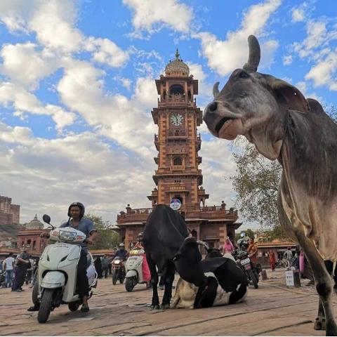 《圣兽之王》高效赚钱攻略：轻松掌握刷钱新技巧