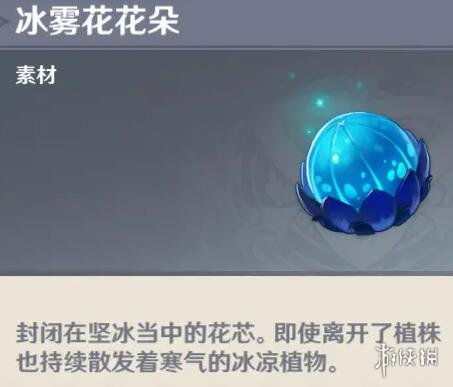 冰雾花高效采集攻略，解锁神秘价值新路径