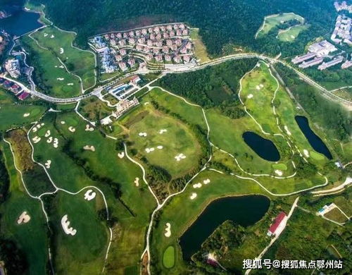 《原神》4.5版本角色推荐：千织抽不抽？深度解析新价值