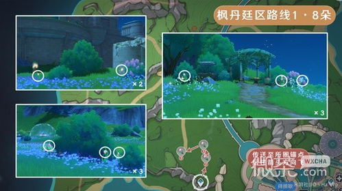 《原神》攻略：高效虹彩蔷薇采集路线，解锁神秘新价值