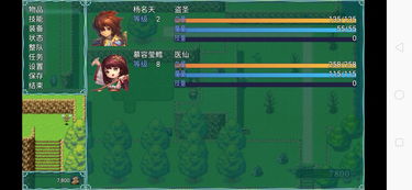 碧海寻宝图揭秘：探寻黑帆宝藏新航线