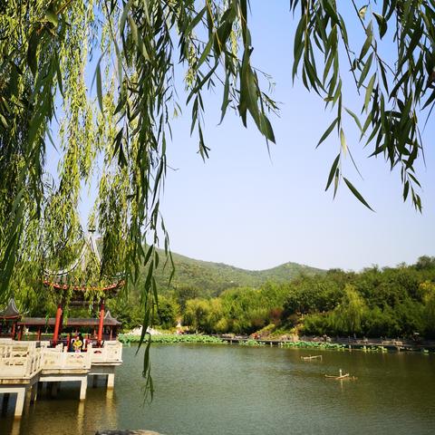 《森林之子神器揭秘：解锁神秘力量新篇章》