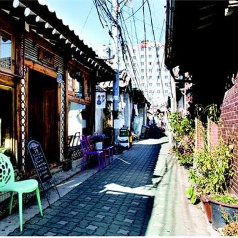 《钟路三街攻略揭秘：深度解析实况流程新视角》