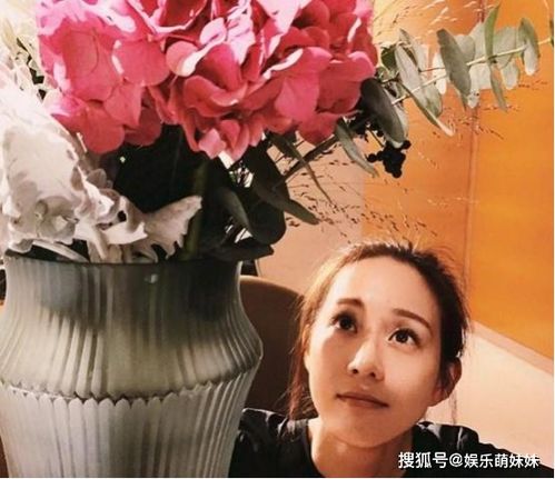 《角落艾果》桌宠挂机新升级，好友结婚社交盛宴来袭！