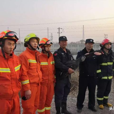 《崩坏星穹铁道》2.0黑天鹅攻略：高效培养与顶级配队技巧解析