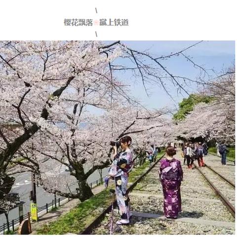 《崩坏星穹铁道》梦境护照全贴纸速成攻略，轻松解锁收藏乐趣