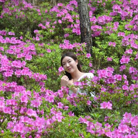 《如龙8》七星装备攻略：高效获取秘籍大公开