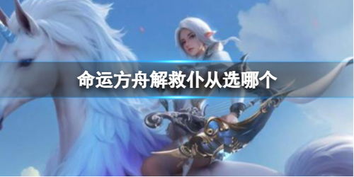 职业视角对决：揭秘《命运方舟》自我与队友眼中的独特价值