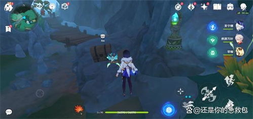 彩蝶翩然谷中行，原神4.4任务攻略新视角