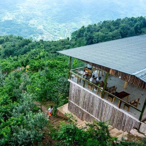 云海鹿繁育秘籍：高效配种攻略全解析