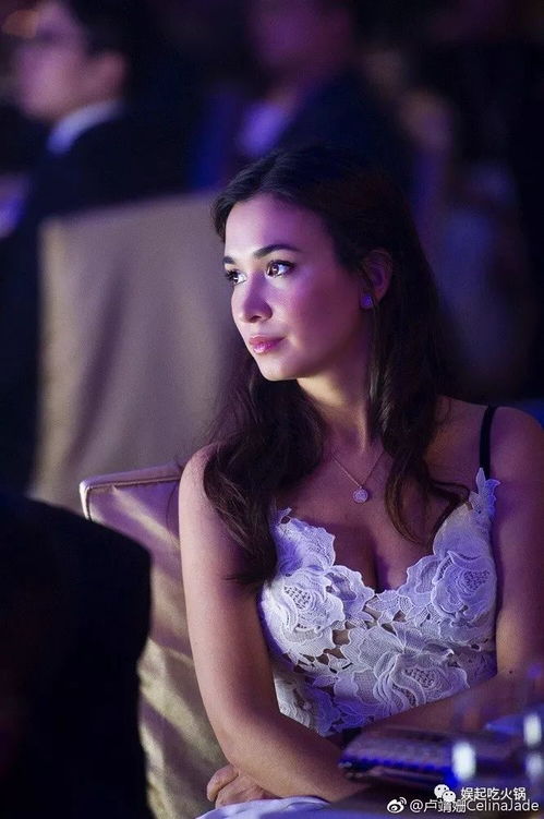 兽兽资料能帮你选对私服版本吗？2025高爆服实战避坑全解析