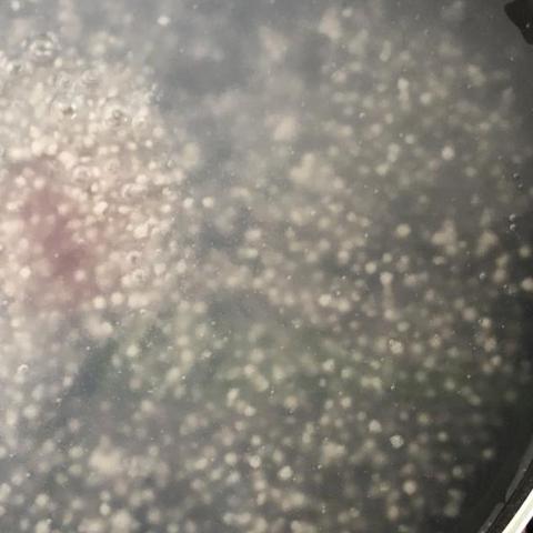 18箱芒果日销，杨枝甘露成网红爆款，老板直呼“放过”